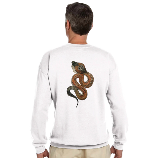 51e21403-d8a3-4bc1-b7f3-7cef123bbff9