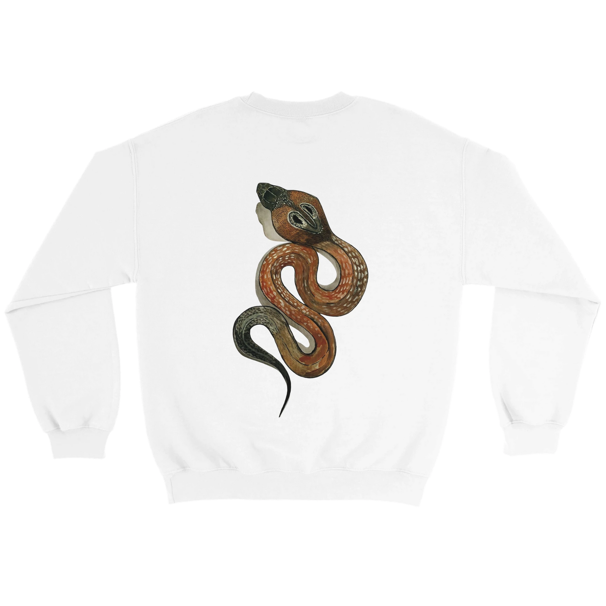 8c0b6e25-3de4-4e0c-bbc8-22bdc471a849